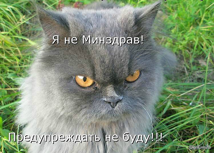 Мария Моисейчева | Киев