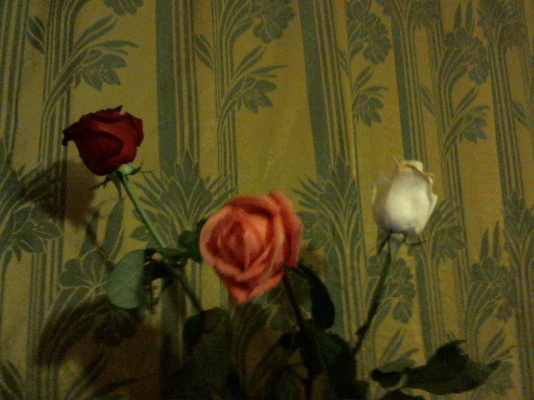 Юрий Трифонов | Новосибирск