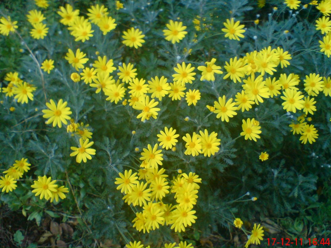 Наташа Дьячкова | Липецк