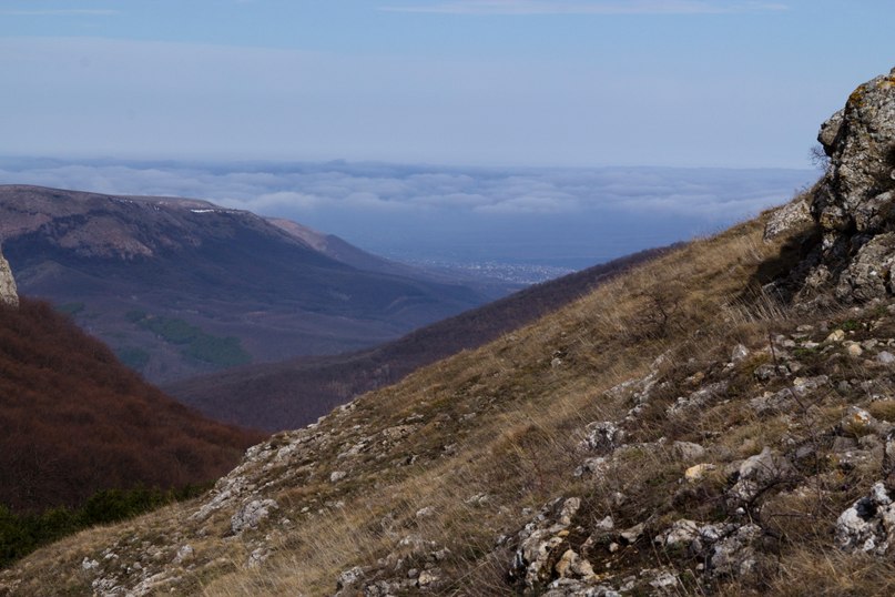 Евгений Шатохин | Черкассы