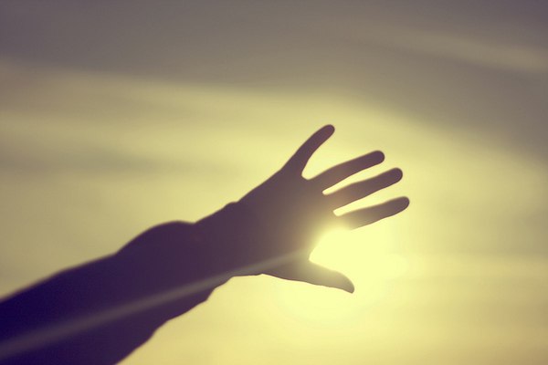 Ксения Чемерис | Сумы