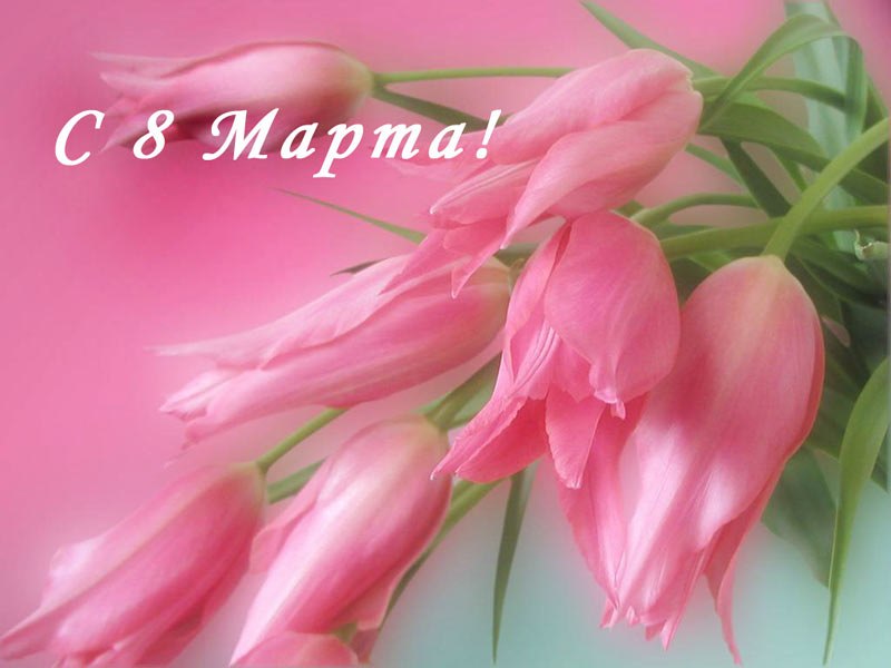 Ольга Альферович | 
