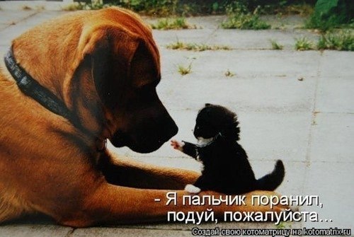 Анна Свивальнева | Таллин