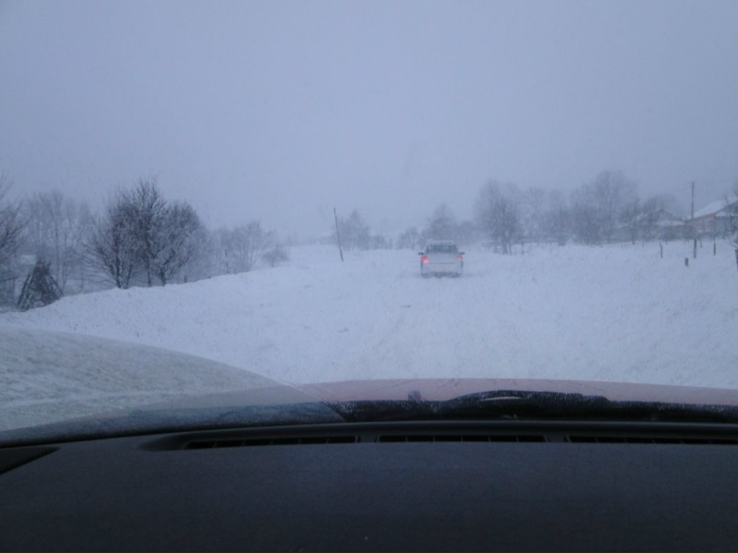 Ігор Коліба | Львов