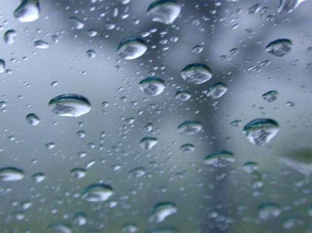 Мар’яна Покровецька | Львов