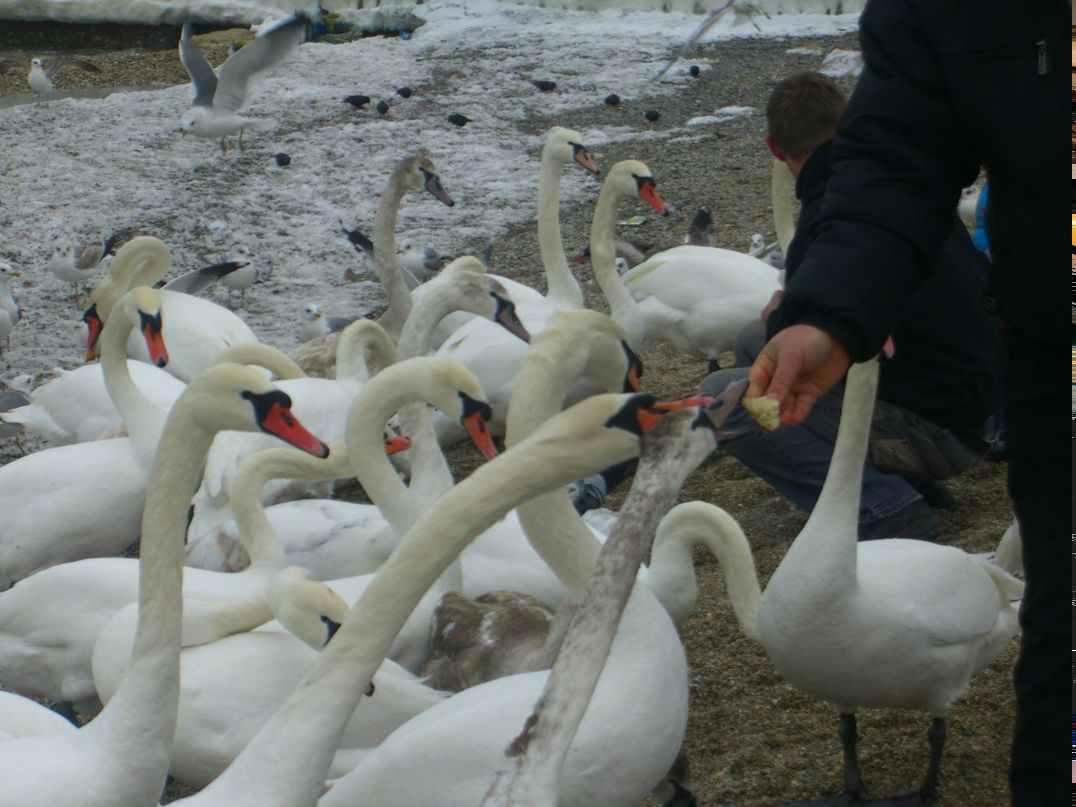 Петр Михалюк | Феодосия