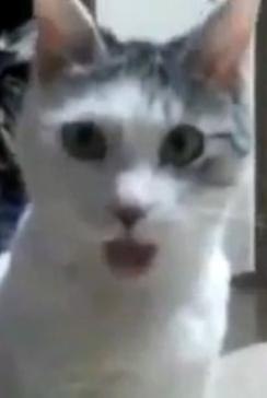 Саня Каменный ...SAW... | 