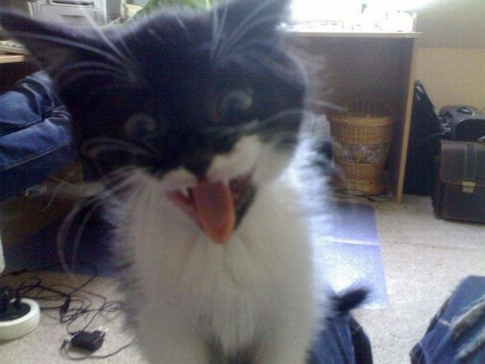 Eugene Glook | Санкт-Петербург