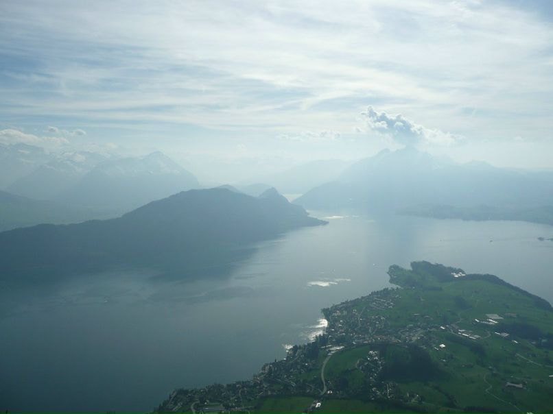 Николай Самолюк | 