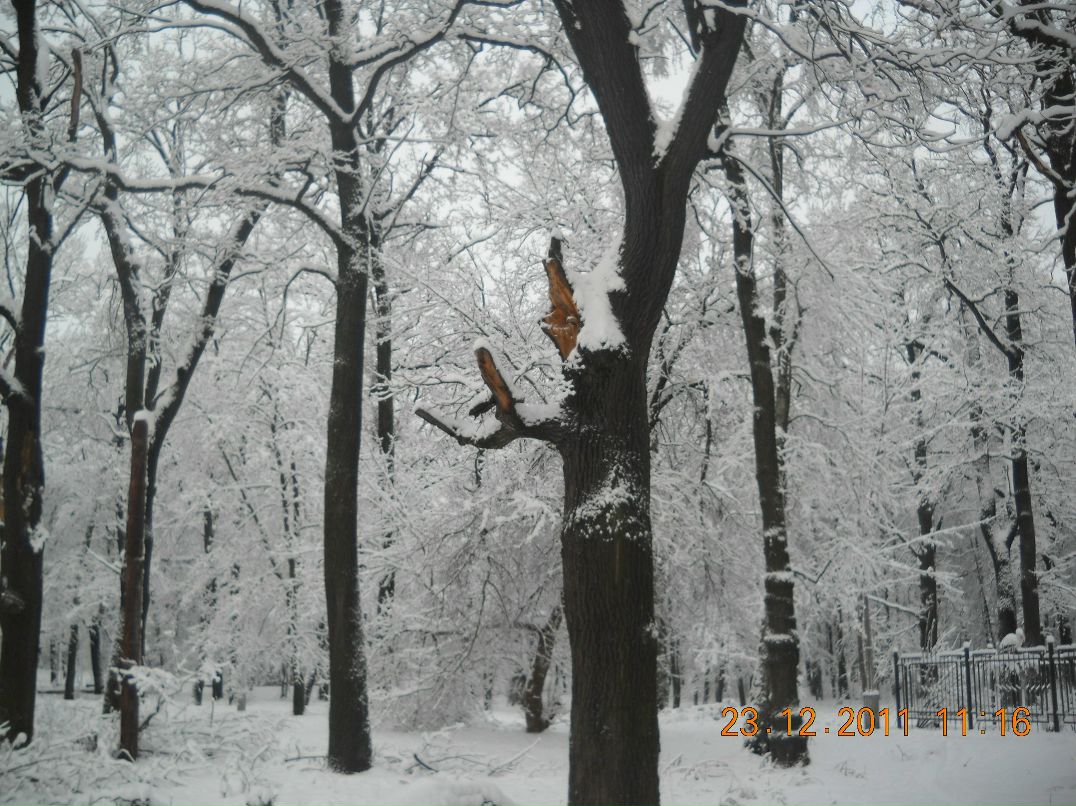 Юрий Бурыкин | Брянск
