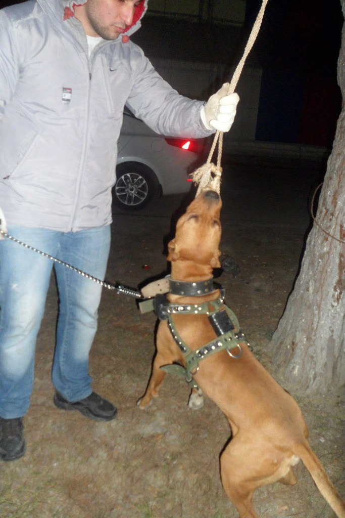 Бахтьияр Ширинов | Баку