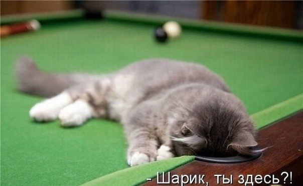 Александр Ефремов | Москва