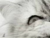 Александр Петухов Сергеевич | Томск