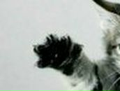 Марина Козлова | Петрозаводск