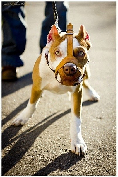 Ваня Новиков | Серпухов