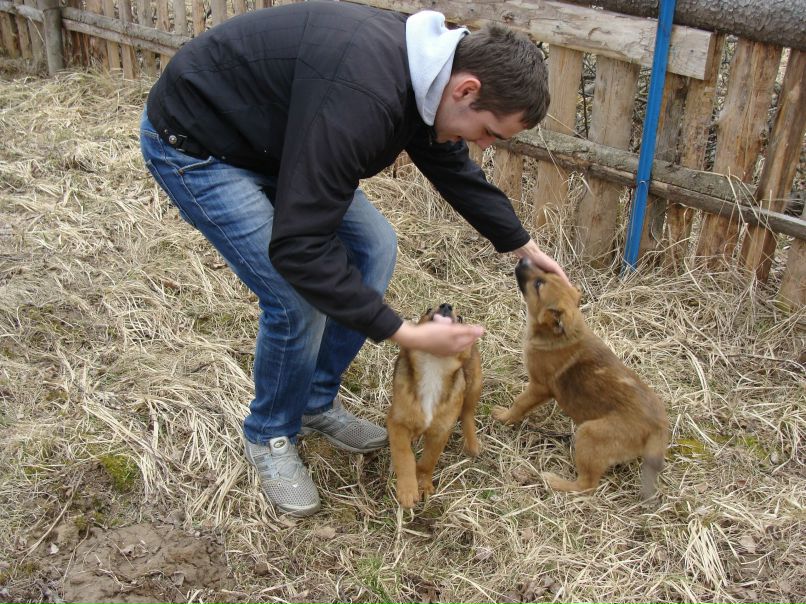 Кирилл Дайнеко | Могилёв