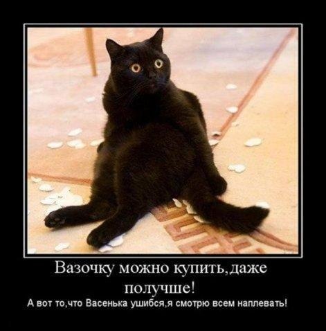 Вячеслав Павлов | Барнаул
