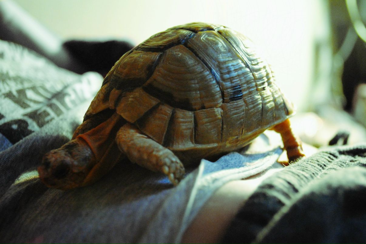 Лера Лера | Санкт-Петербург