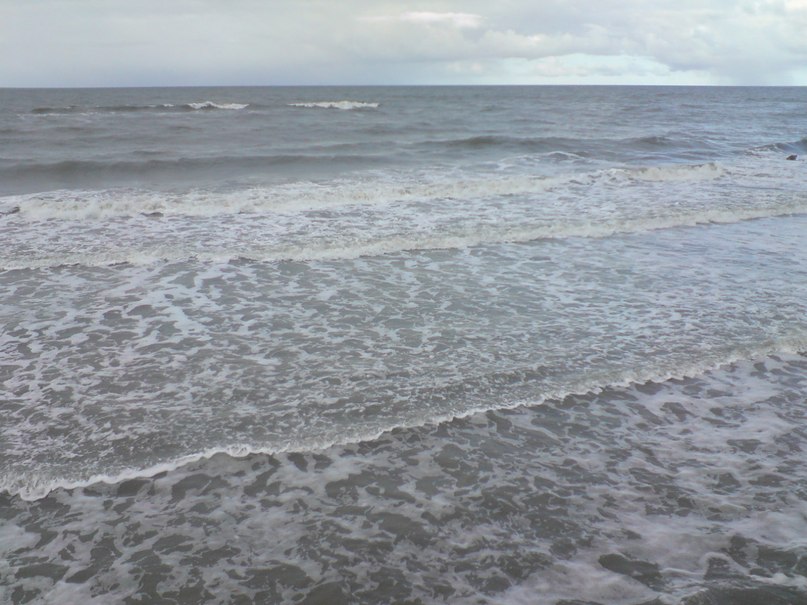 Светлана Шитикова-Гуськова | Калининград