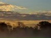 Максим Затоковий | 