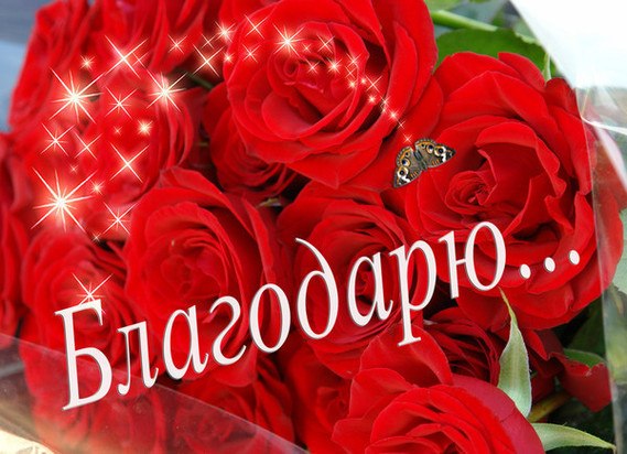 №18, Ольга Савчик №18, Ольга Савчик