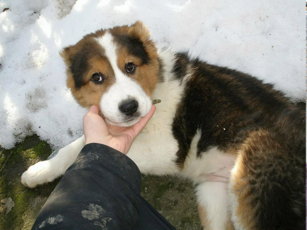 Василий Соварцов | Советская