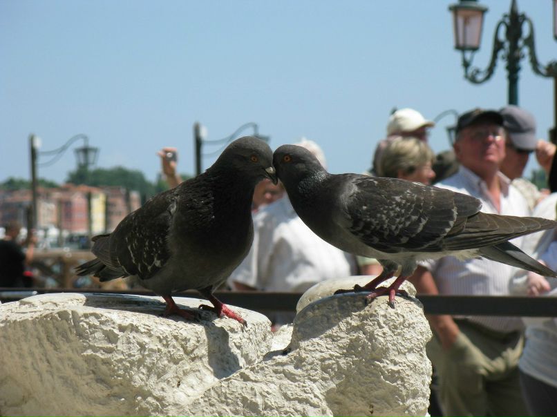 Наталья Каткова | Мурманск