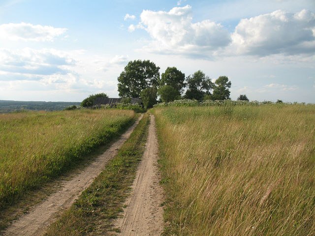 Евгений Сизоненко | Ульяновск