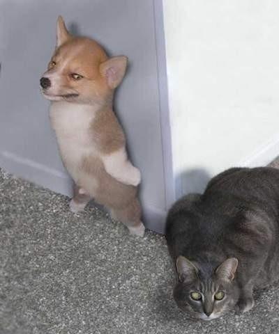 Андрей Карнаух ANDRON | Кобеляки