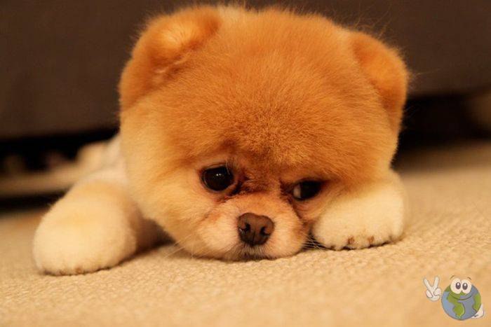 Алина Митина | Енакиево