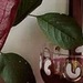 Алтынай Казыбаева фотография #26 (источник - https://vk.com/id101235699)