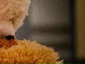 Алевтина Добровольская | Новосибирск