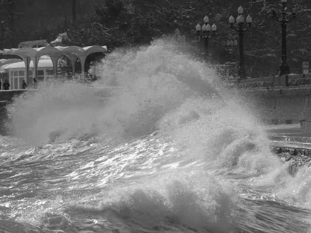 Елисей Бороздин | Ялта