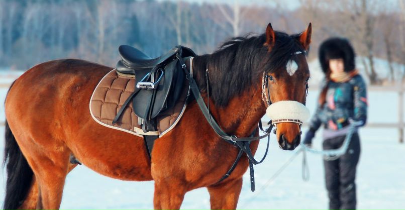 Юлия Степанова | Подольск