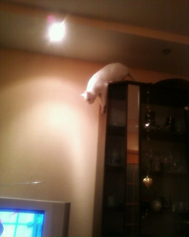 Инна Крохмалюк | Петрозаводск