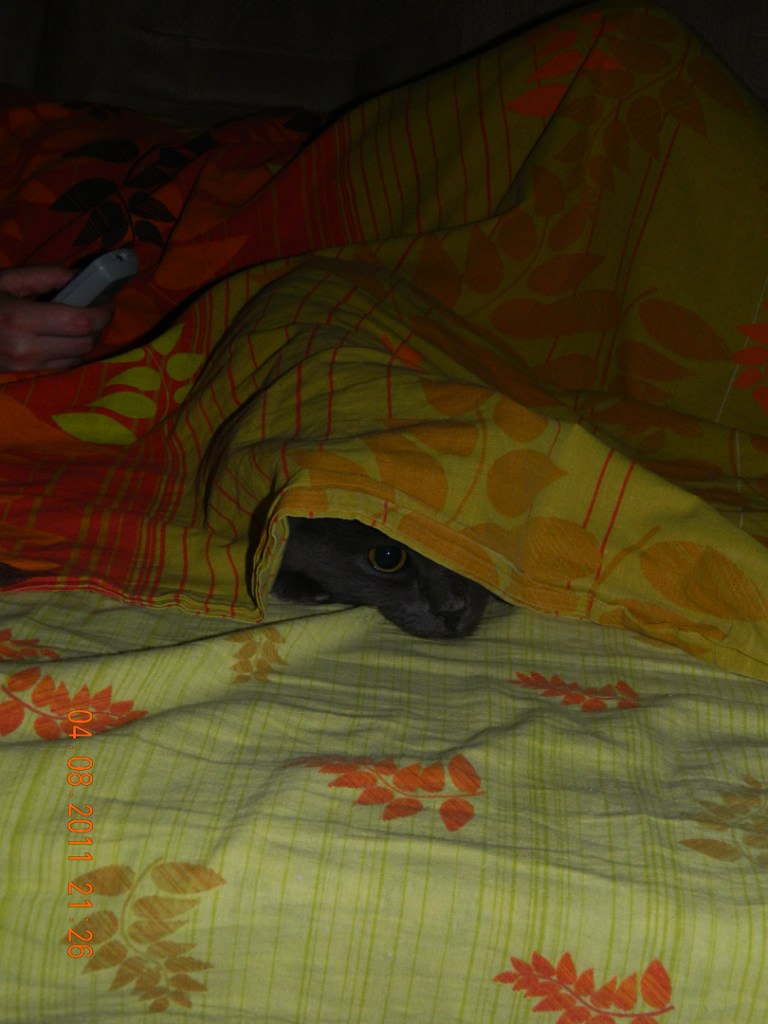 Евгений Мельниченко W | Челябинск