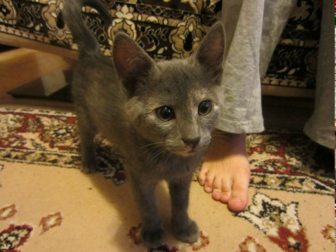 Деонисий Граблин *никого* | Москва