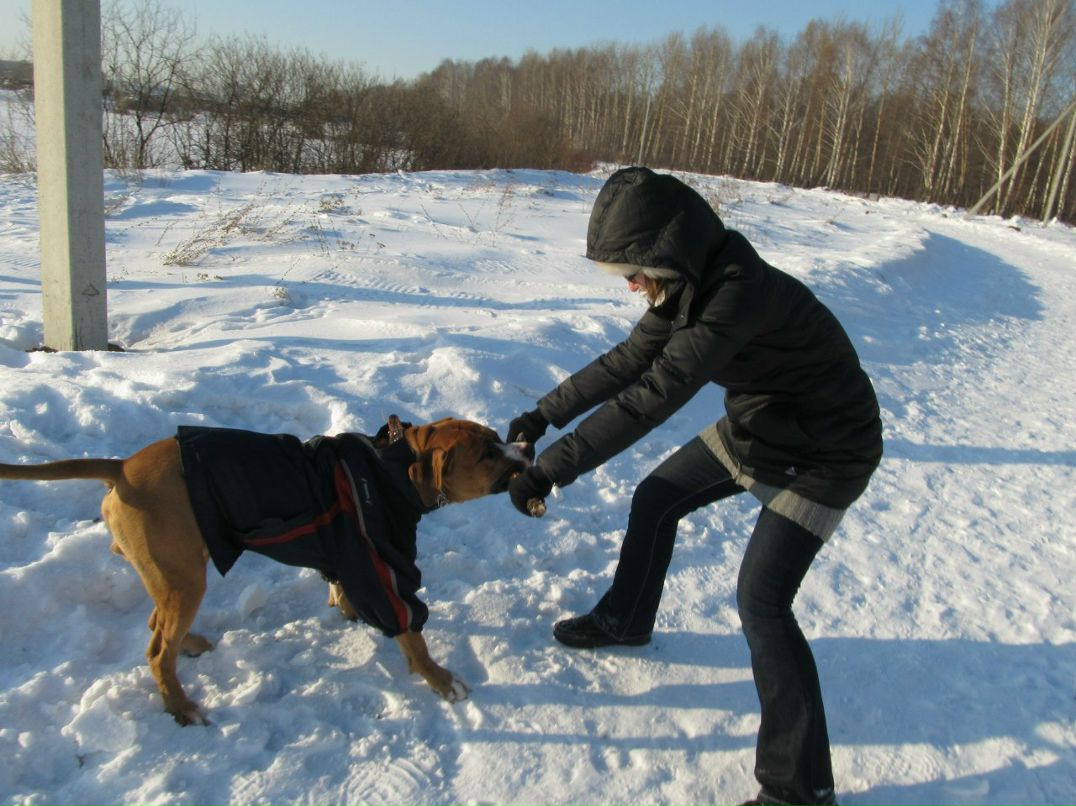 Света Шустикова | Йошкар-Ола