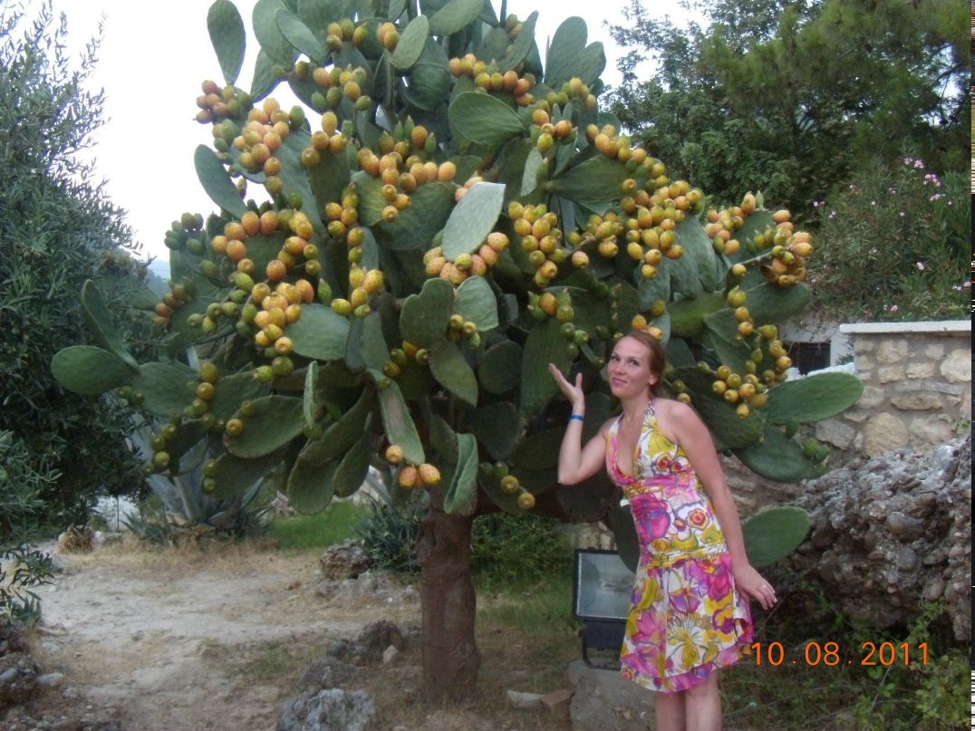 Елена Верещака | Архангельск