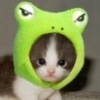 Аватар: Маруся Кошкина