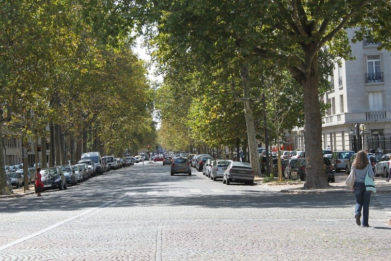 Роман Очаковский | Новосибирск