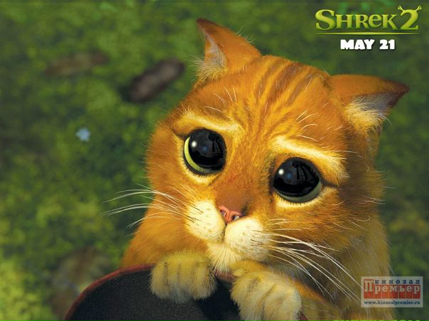 №130, Аделина Тухватуллина, 26 лет, Учалы (село) №130, Аделина Тухватуллина, 26 лет, Учалы (село)