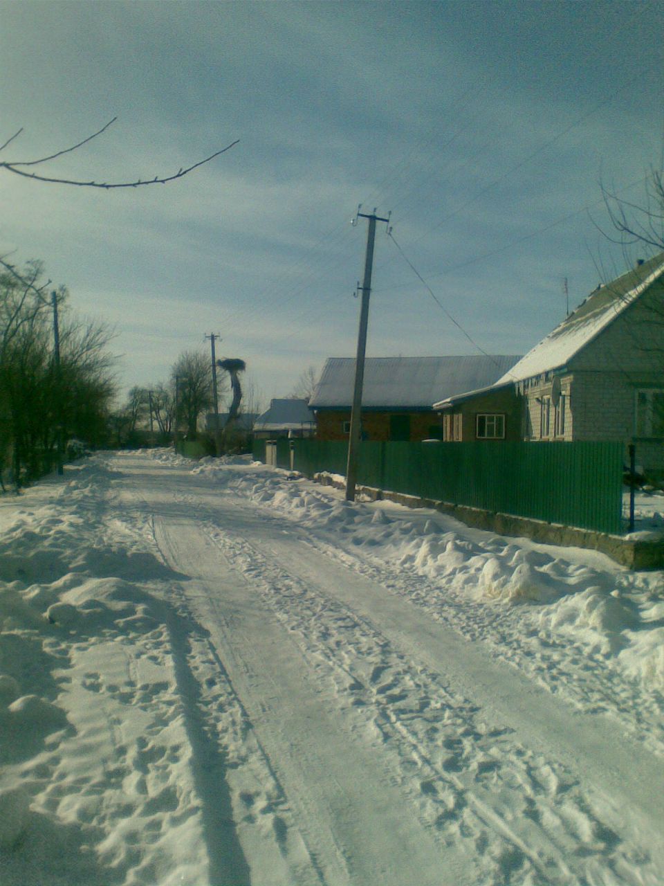 Ольга Шигаева-Полищук | Ирпень