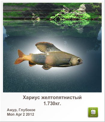 Алексей Сыромятников | Колпино