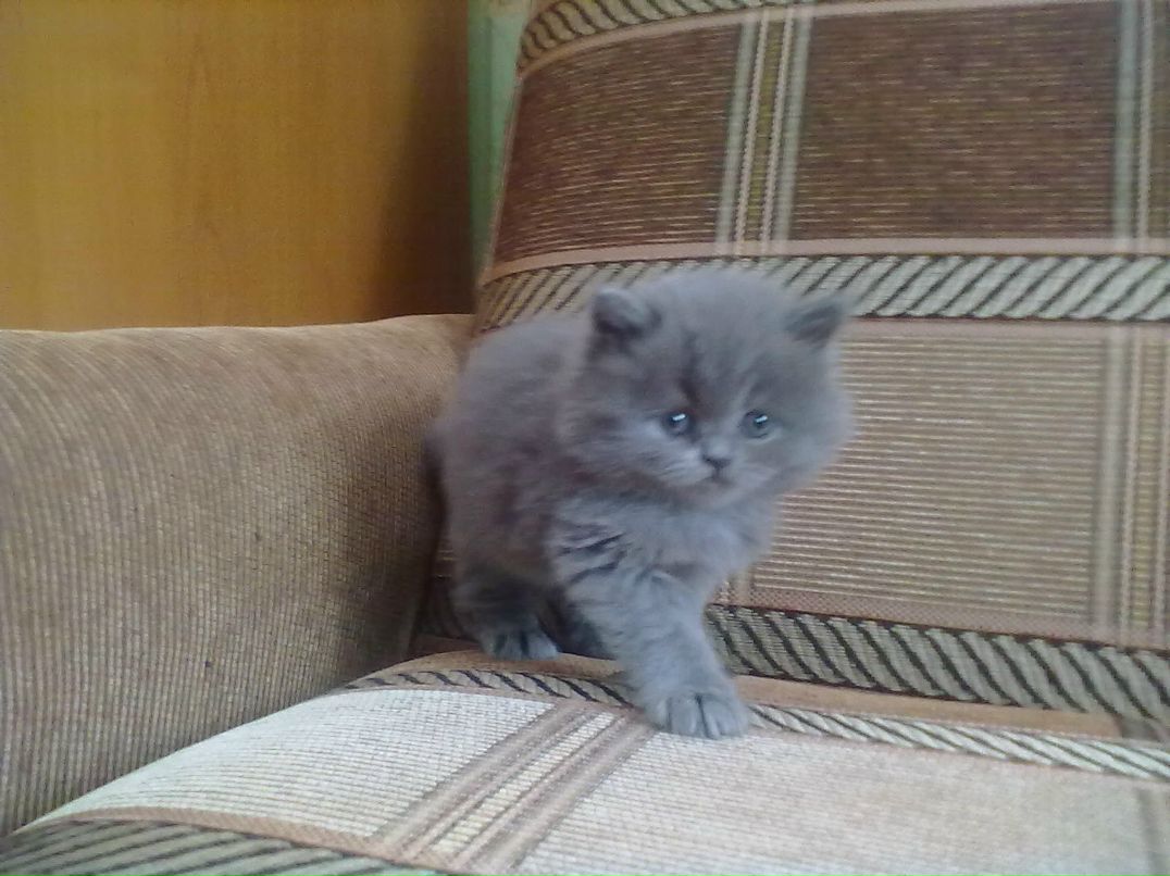 Роман Козырёв | Санкт-Петербург