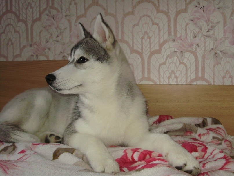 Катерина Платонова | Larnaca