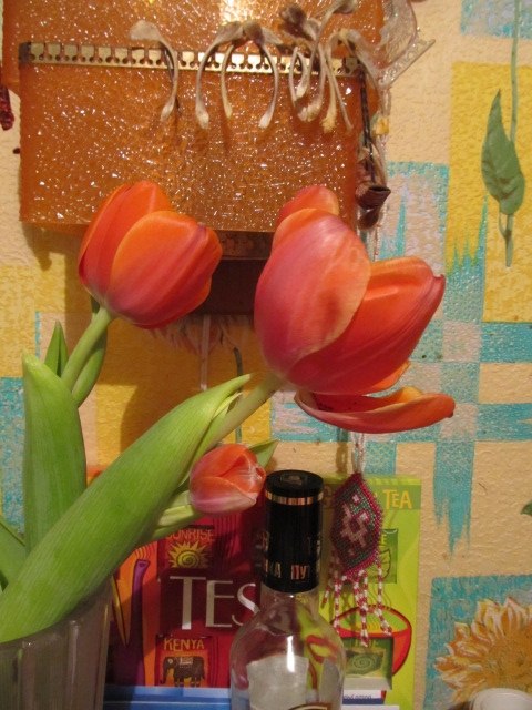 Алла Таскаева | Сыктывкар