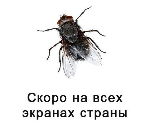 Олег Гайворонский | Харьков