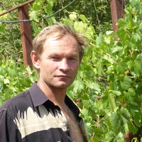 Александр Романенко