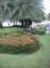 Инна Бабарина фотография #5